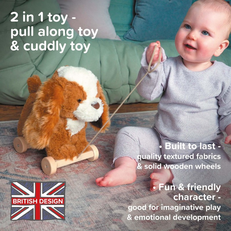 Little Bird Told Me - Pull Along Toy with Removable