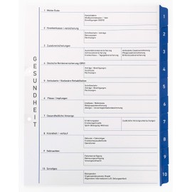 Theme Ring Binder with Tabs / Dividers - Health - Optimal Structuring / Storage of All Health Documents With Writeable Doctor Address List and CD Case
