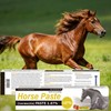 Equine Paste 1.87% – 12 Pack (6.08g) Apple Flavored Oral