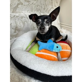 TONBO Soft Plush Small Cute and Cozy Food Dog Cat Bed, Washer and Dryer Friendly (Sushi Roll)