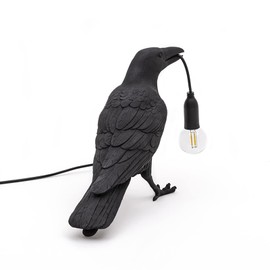 Aooxida Raven Bird Lamp,Vintage Resin Crow Lamp with E14 Blub, Wall Mounted Gothic Wall Sconce Night Light Fixture with Plug in Cord for Living Room Bedroom Art Deco