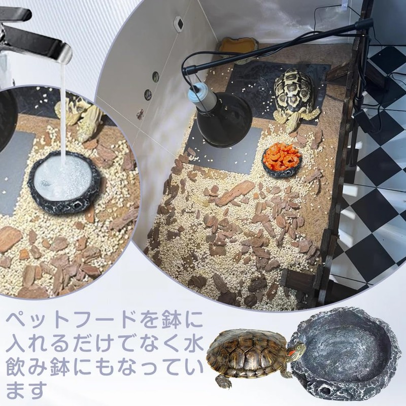 Reptile Water Tray Pet Bait Ball Bait Tray Natural Rock