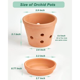 vensovo 4 Inch Terracotta Orchid Pots with Holes and Saucers - 6 Pcs Small Clay Orchid Planter Pots for Repotting, Plant Flower Pots for Orchid Indoor and Outdoor Promotes Air Circulation