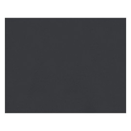 Peacock 6-Ply Railroad Board, 22"X28", Black, 25 Sheets