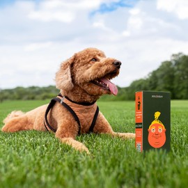 Smolotov Premium Dog Poop Bags, Unscented, Leakproof, 4 Rolls (60 Count) - Stable Genius