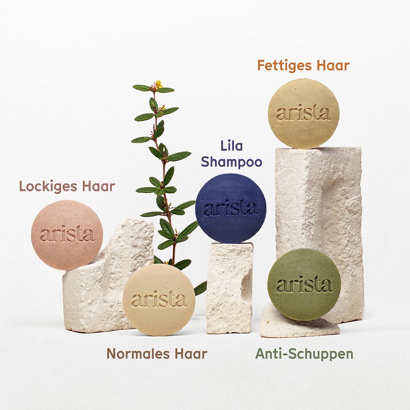 Arista Solid Shampoo for Oily Hair