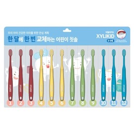 XylyKid Once a Month Children's Toothbrush (12-pack) x 2 / 자일리키드 한달에한번 어린이칫솔(12입) x 2개