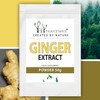 Forest Vitamin - Ginger Extract - 50 g Powder -