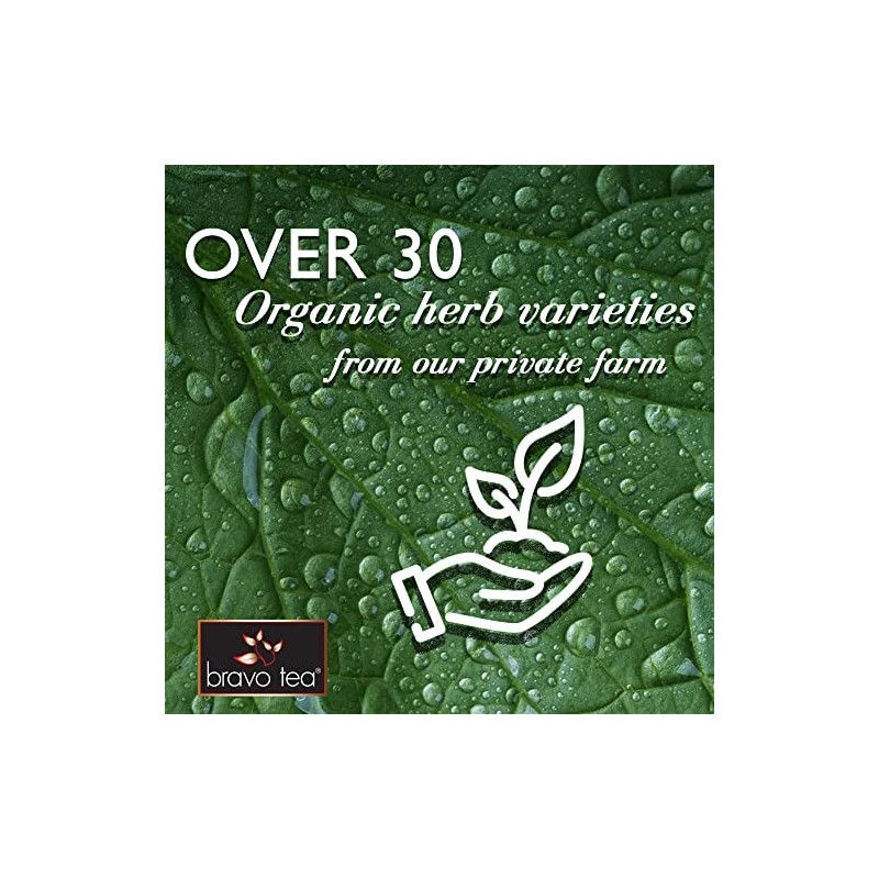 Bravo Tea Cordyceps Mushroom Herbal Tea, Caffeine Free 20 Tea