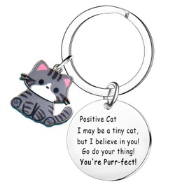 malyunin Inspirational Cat Keychain Gift For Cat Lovers Emotional Support Positive Cats Gifts For Women Cats Mom Dad Gift