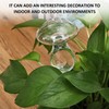 USHXVG 3 Pieces of Automatic Mushroom Watering Device, Plant Watering