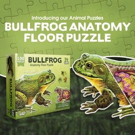 Bullfrog Animal Anatomy Floor Puzzle | 100-Piece Double Sided Jigsaw Puzzle | Large-Sized, Over 4 Feet Scientifically Accurate Illustration of Frog - Fun and Educational Toy for Kids, Toddlers