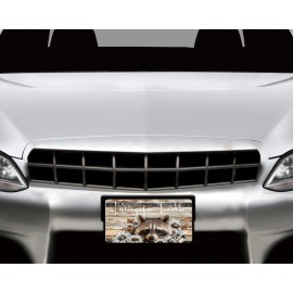 Twisted R Design Raccoon Looking for Trouble Aluminum Front License Plate Car Accessory Vanity