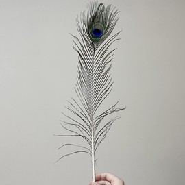 10pcs Long Natural Peacock Feathers 20-24" for Tall Vases Home Decorations Christmas Decor