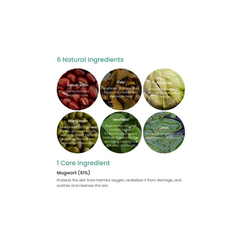 Axis-Y: Mugwort Pore Clarifying Wash Off Pack 100 ml
