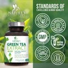 Green Tea Extract Capsules 1000mg 98% Standardized EGCG - 3X