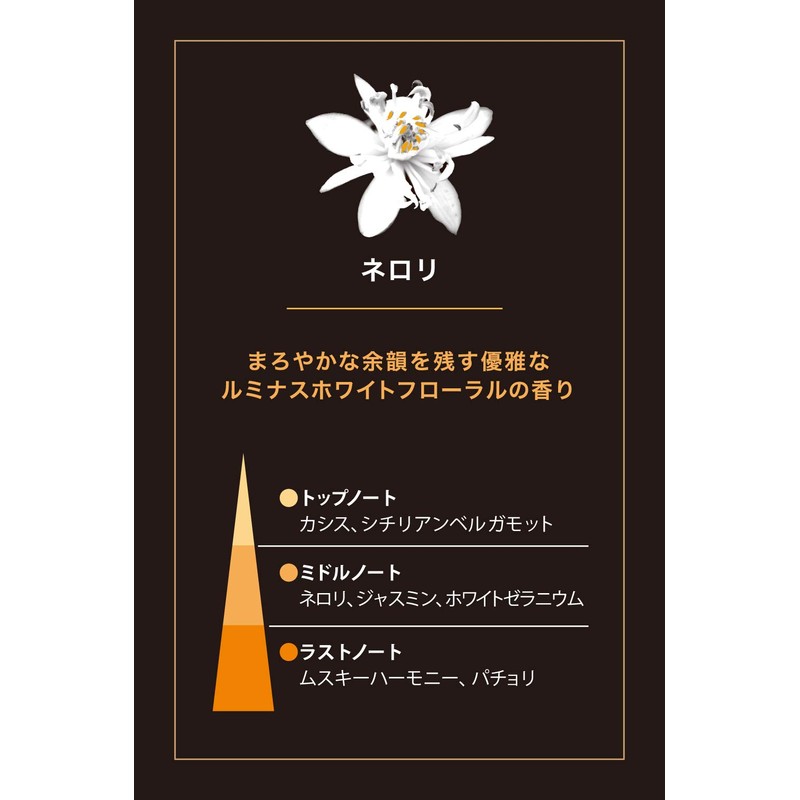 エステバン ネロリ 40本入