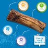 Jack&Pup Marrow Bones for Dogs, Long Lasting Dog Bones for