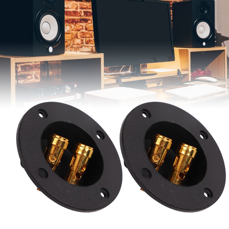 5Pcs 2 Way Stereo Speaker Box Terminal Cup Double Binding