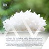 Nootropics Depot White Jelly Mushroom Capsules | 500mg | 60