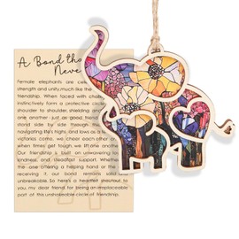 lasuroa Friendship Elephant Ornament with Story Card, Elephant Ornament for Women Cute Flower Pattern Friends Sisterhood Friendship Gifts for Women (Style 2)