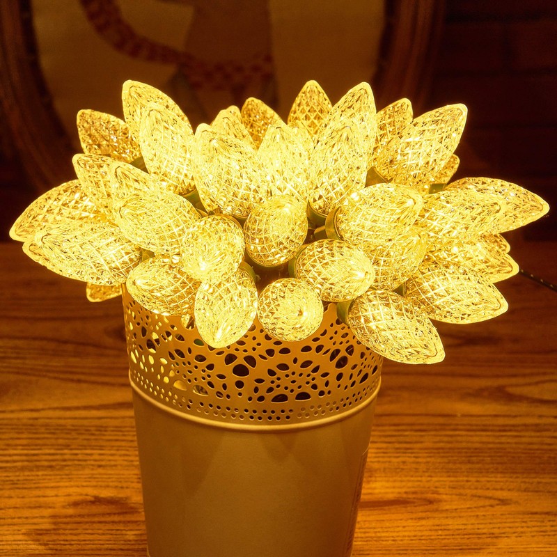 Blissun C9 Led Christmas String Lights, 50 LED 33 ft