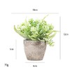 6 Piezas de Plantas Artificiales Mini Macetas,Fake Planta de Plástico,Flor