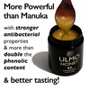 Ulmo Honey - More Poweful than Manuka | & Better