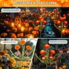 Dia de Los Muertos - Luces de flores de caléndula