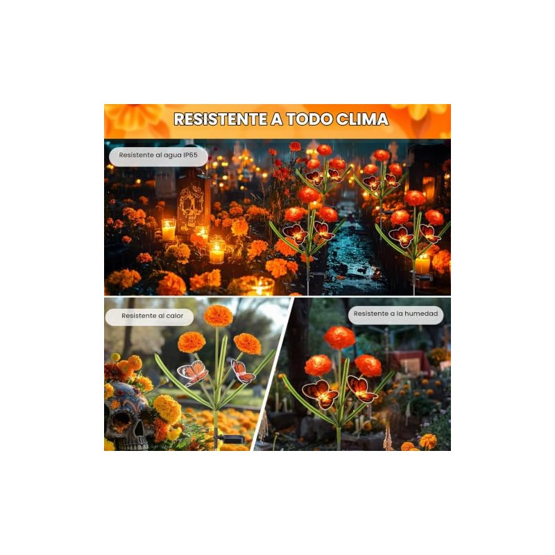 Dia de Los Muertos - Luces de flores de caléndula