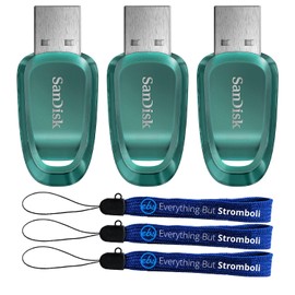 SanDisk Ultra Eco USB 3.2 Flash Drive 3-Pack 512GB Gen 1 USB-A High Performance Thumb Drive for Computers, Laptops, 100MB/s (SDCZ96-512G-G46) Bundle with (3) Everything But Stromboli Lanyards