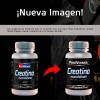 Suplemento Creatina Monohidrato 100% (80 Cáps) Prowinner Sabor Natural
