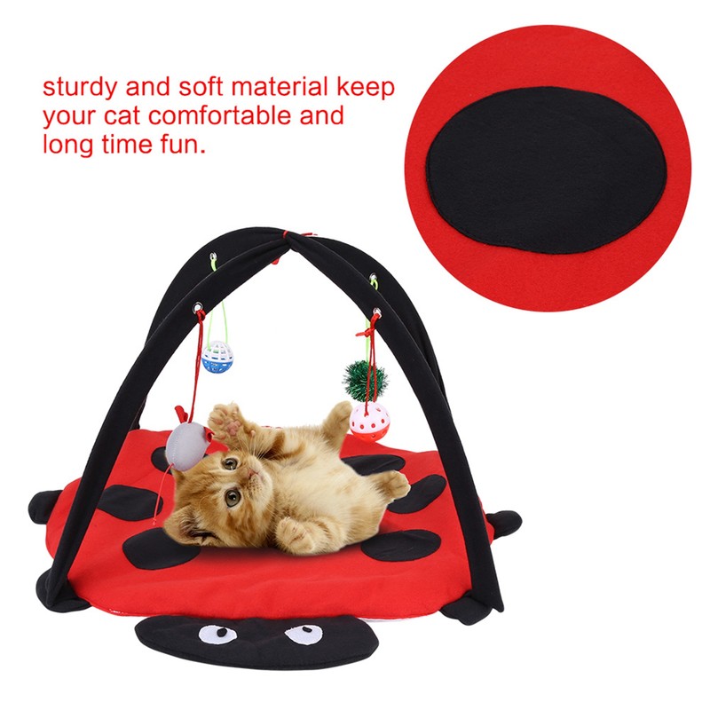 Foldable Cat Activity Play Mat Tent Multifunction Pet Bed with