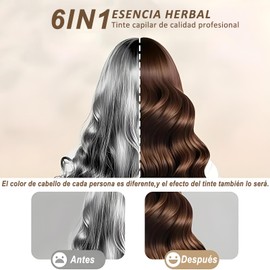 Shampoo Con Tinte 3 In 1, Hair Dye Tinte de Natural Shampoo Instantáneo,Con Ingredientes Naturales Y Suaves, para La Cobertura Del Cabello Y Cubrir Canas, para Todo Tipo de Cabello,200 ml (Marrón)