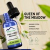 HoneyCombs Queen of The Meadow (Meadowsweet) – Herbal Supplement for