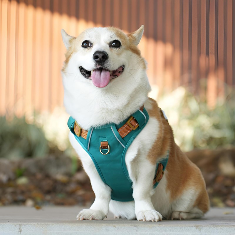 Paipeper Dog Harness, Small Dog Harness, Medium Size Dog Harness,