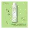 Agua Micelar Pond's Fruity Hydrafresh Aloe 300 ml
