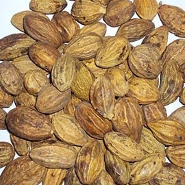 Harde – Whole Herb Terminalia chebula / Haritaki / Black Myrobalan- 100g