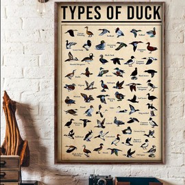 Bodyard Vintage Metal Tin Sign Types of Duck Breeds of Duck Vintage Knowledge Poster Tin Sign Poster Vintage Metal Signs for Bar Music Club Man Cave Room Wall Decor 5.5x8 Inch