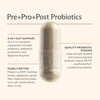 Premium 4-in-1 Probiotic Prebiotic, Postbiotic & Digestive Enzymes for Men