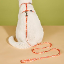 WADY Cat Harness and Leash Set for Walking Escape Proof, Adjustable Pet Harness for Kitten and Small Dogs, Adjustable Cute Cat Harness Leash Set with Airtag Holder, Travel Kitten Vest Harness (orange)