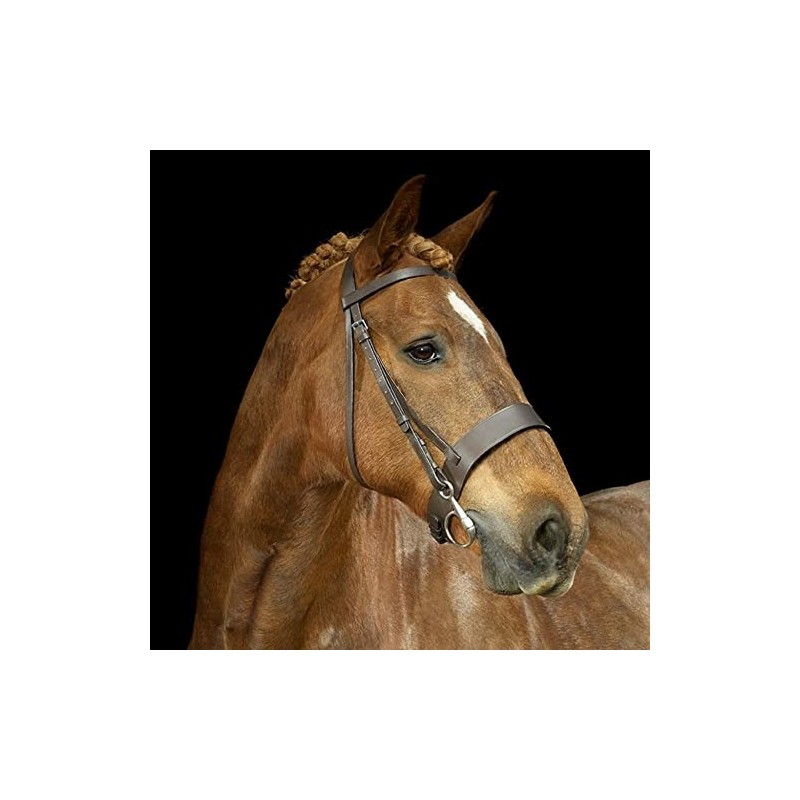 Gallop 1.5-Inch Hunter Bridle, Pony Size, Brown
