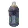 I HEART BEES Fall Blend Honey | 6 Pound Bottle