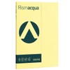 Favini A692544 Rismacqua colore GIALLO CHIARO confezione da 50 cartoncini