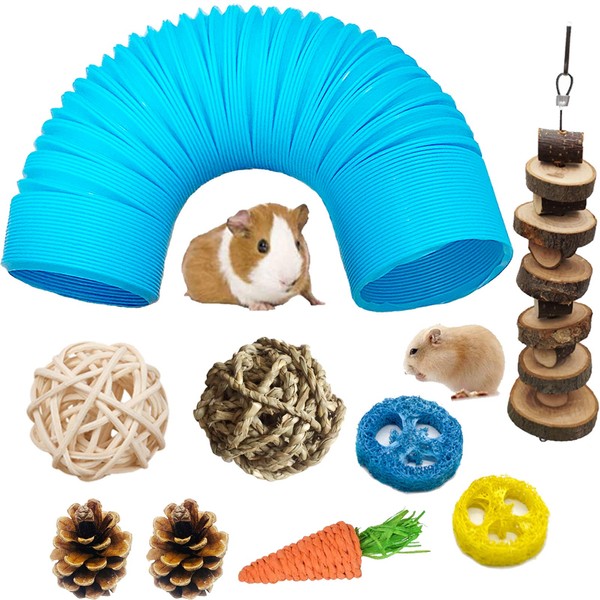 Hamster Fun Tunnel Pet Mouse Plastic Tube Toys Small Animal Foldable Exercising Training Hideout Tunnels with Cute pet Toys for Guinea Pigs,Gerbils,Rats,Mice,Ferrets and Other Small Animals (Blue)