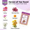 Flower Seed Pods for All Hydroponics Growing System, 8 Pods