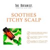 Shampoo The Botanist Anticaspa Mint Oil 591ml