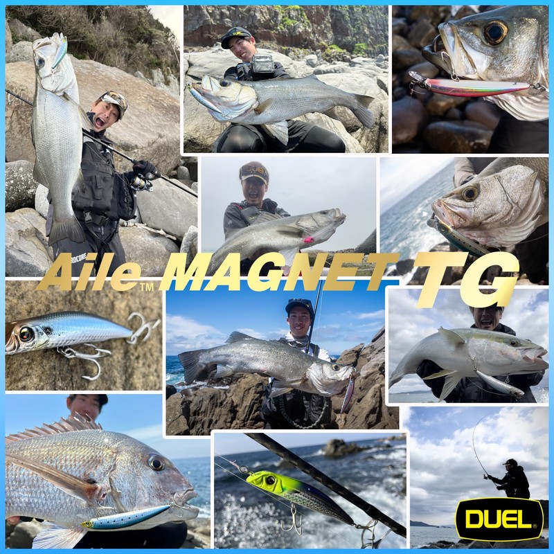 DUEL Aile Magnet TG Darter 105F Floating, 4.1 inches (105