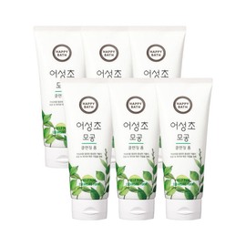 Happy Bath Houttuynia cordata pore cleansing foam 200g (6 pieces) / 해피바스 어성초 모공 클렌징폼 200g 6개