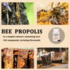 Bee Propolis for Dogs & Cats, Daily Immune System Support,